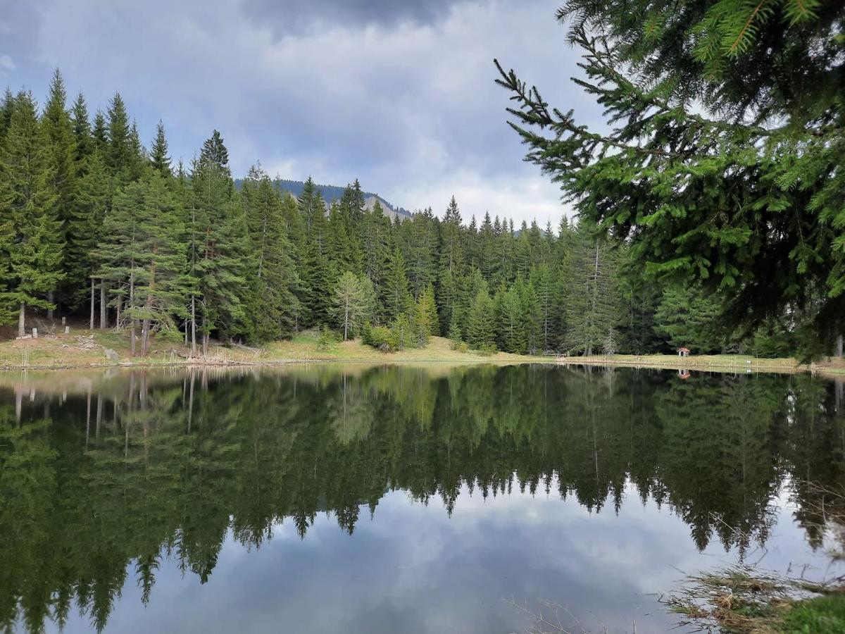 Утро Без Аларма, Смолянски Езера. Alarm Free Morning Smolyan Lakes מראה חיצוני תמונה